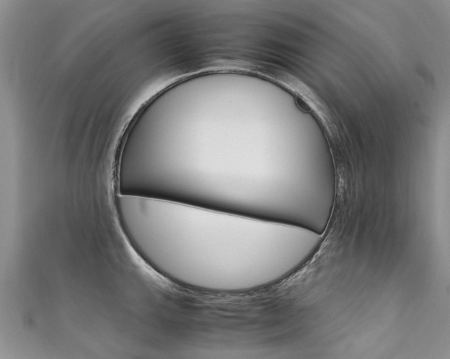 X0000111431143200907131035
