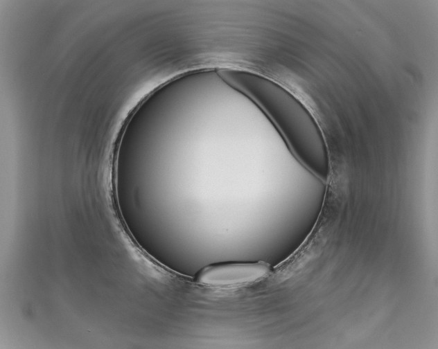 X0000111431144200907131035