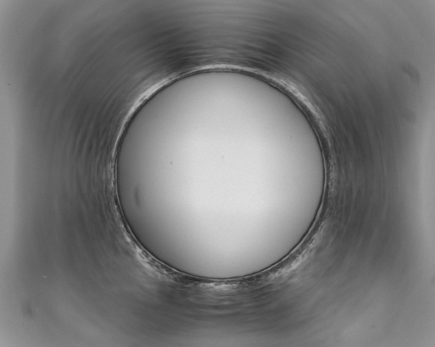 X0000111431145200907131035
