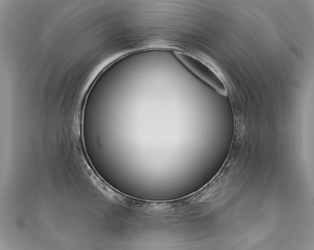 X0000111431148200907131035