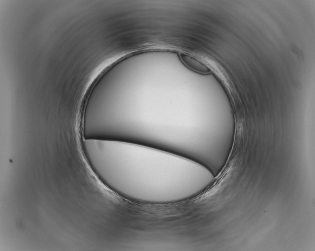 X0000111431149200907131035