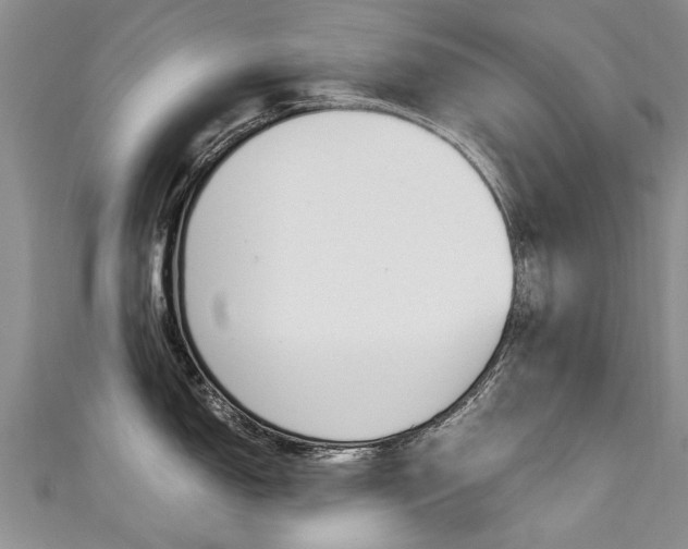 X0000111431150200907131035