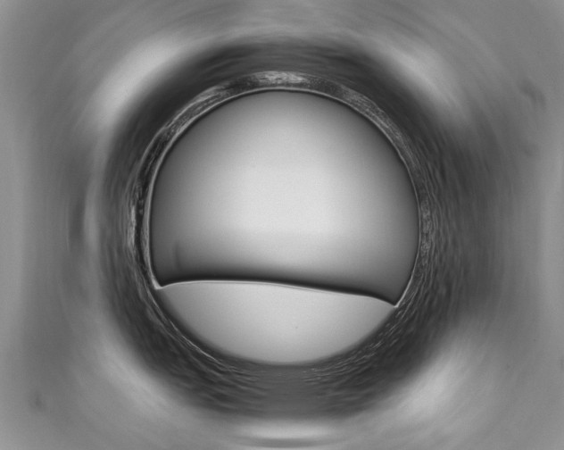 X0000111431151200907131035