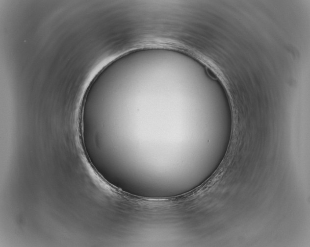 X0000111431152200907131035