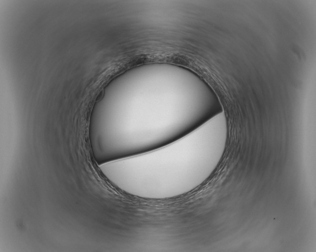 X0000111431153200907131035