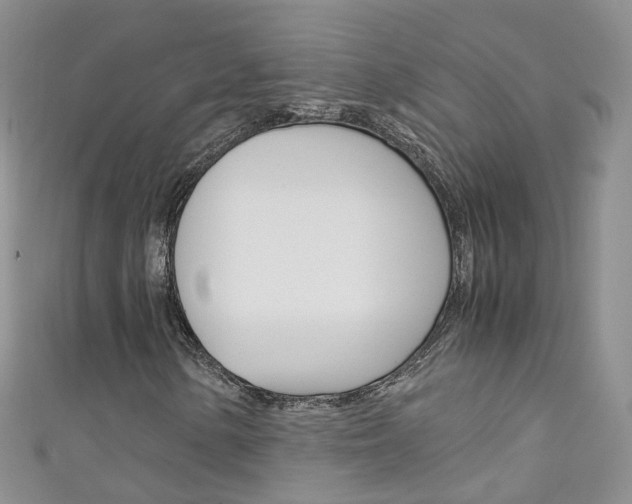 X0000111431154200907131035