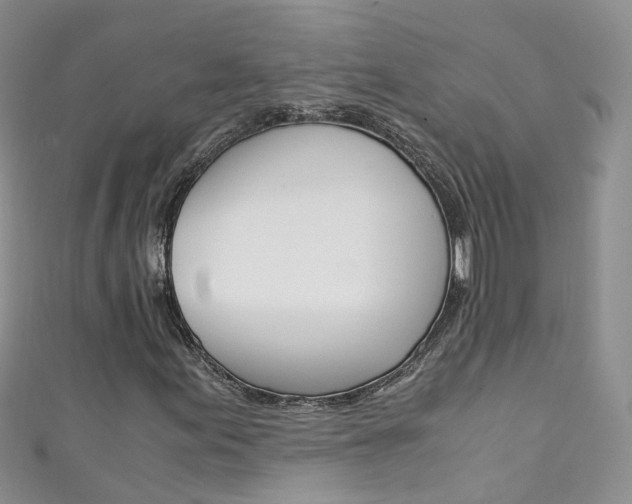 X0000111431155200907131035