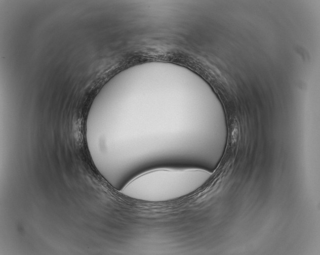 X0000111431156200907131035