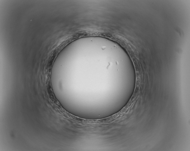X0000111431157200907131035