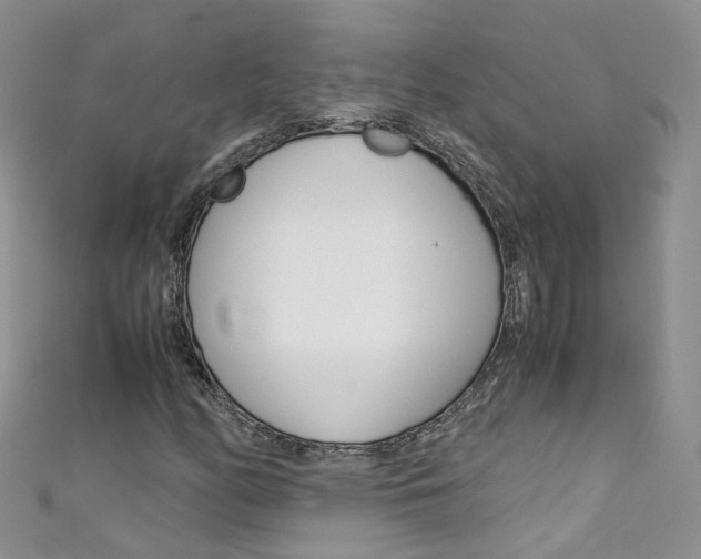 X0000111431158200907131034
