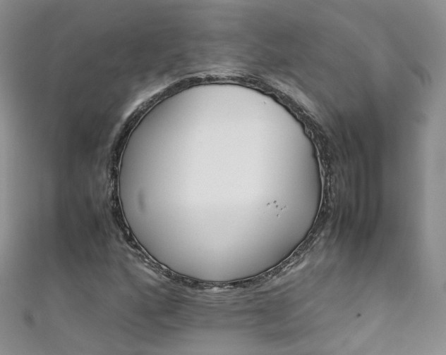 X0000111431160200907131034