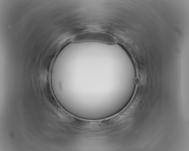 X0000111431161200907131034
