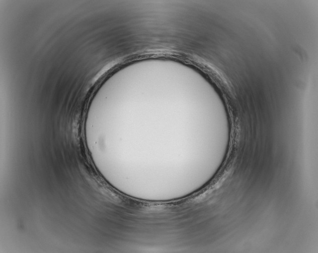 X0000111431162200907131034