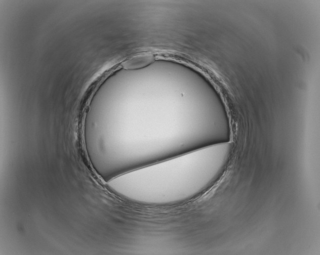 X0000111431165200907131034
