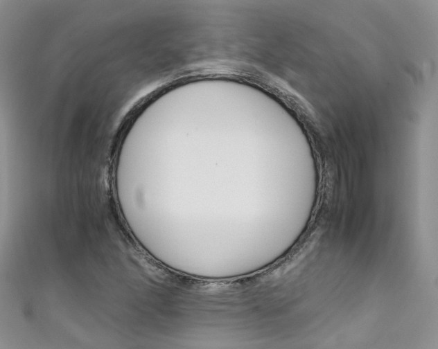 X0000111431166200907131034