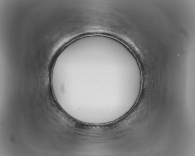 X0000111431167200907131034