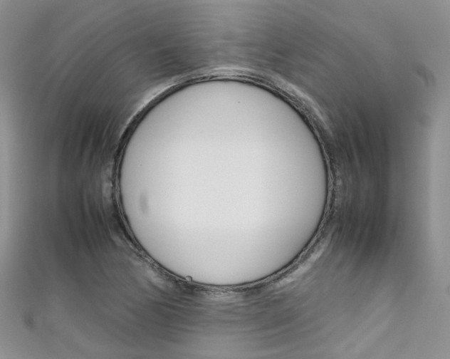 X0000111431170200907131034