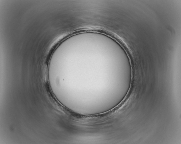 X0000111431171200907131034