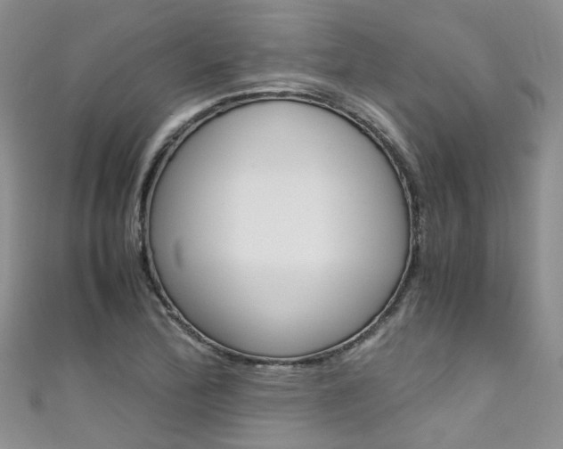 X0000111431172200907131034