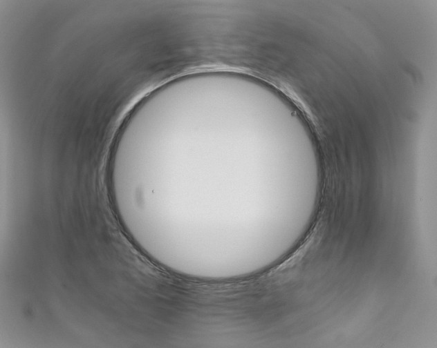 X0000111431173200907131034