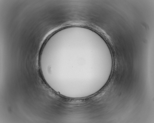 X0000111431174200907131034