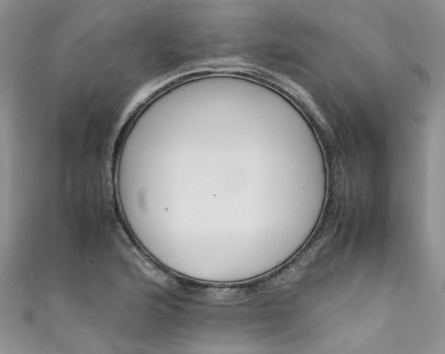 X0000111431176200907131034