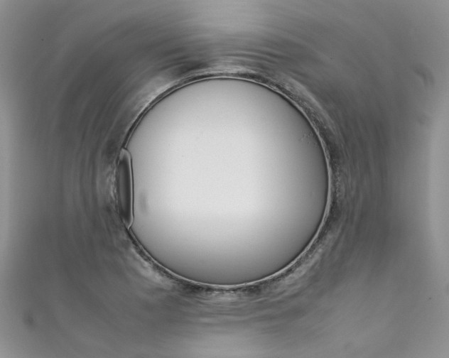 X0000111431177200907131034