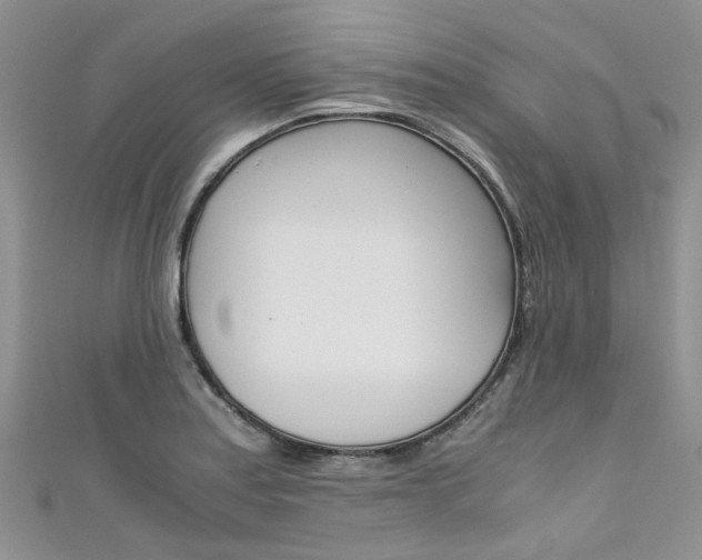 X0000111431179200907131034