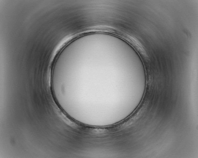 X0000111431180200907131034