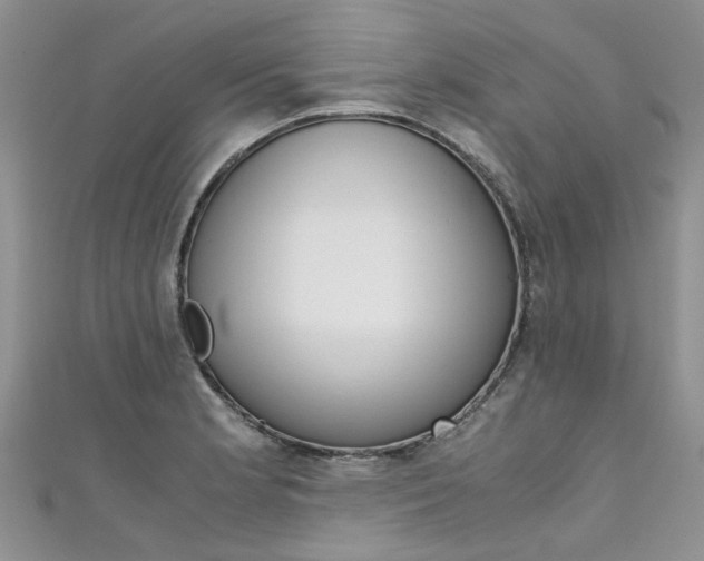 X0000111431181200907131034