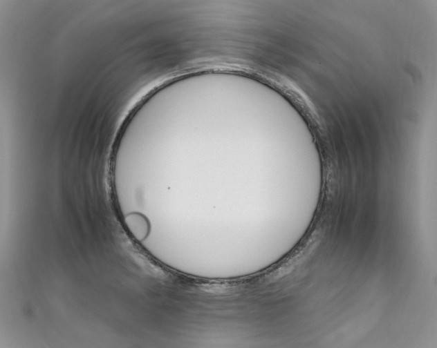 X0000111431182200907131034