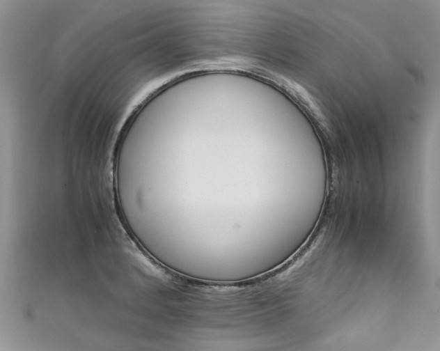 X0000111431184200907131034