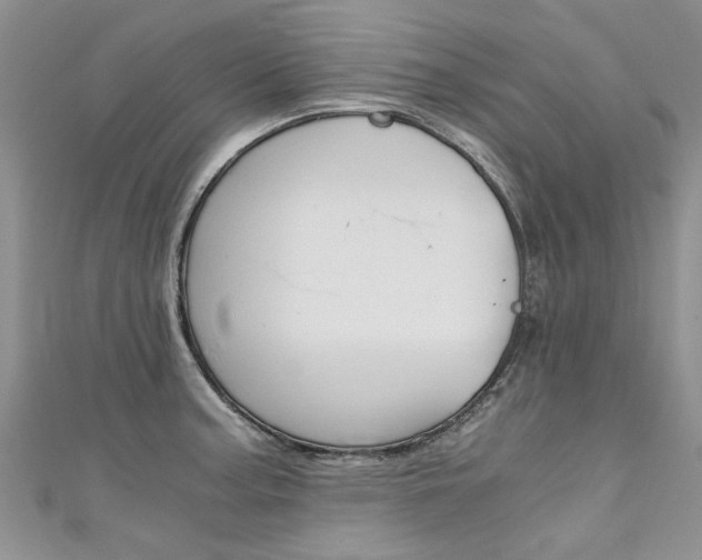 X0000111431187200907131034