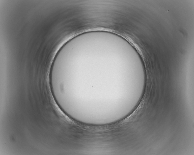 X0000111431189200907131034