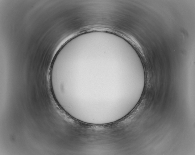 X0000111431190200907131034