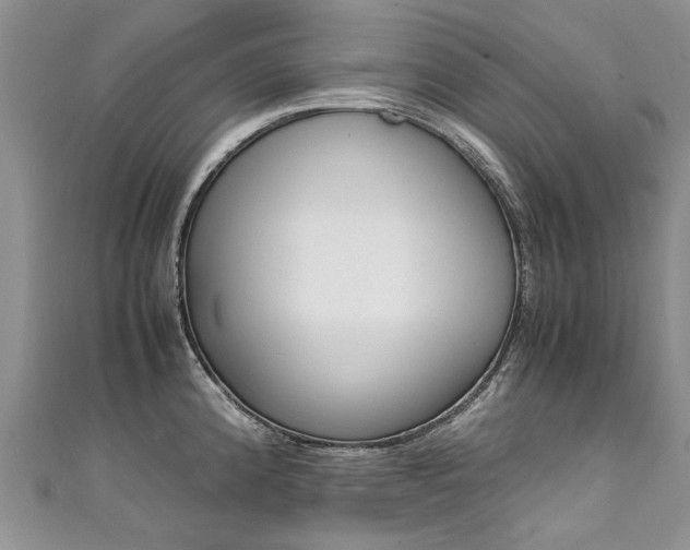 X0000111431192200907131034