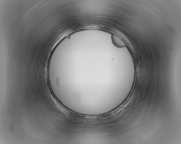 X0000111431194200907131034