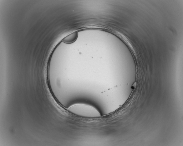X0000111431195200907131034