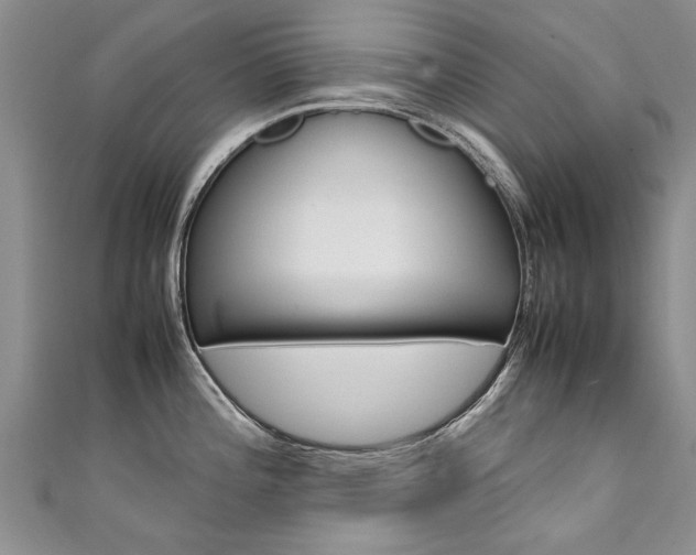 X0000111431196200907131034