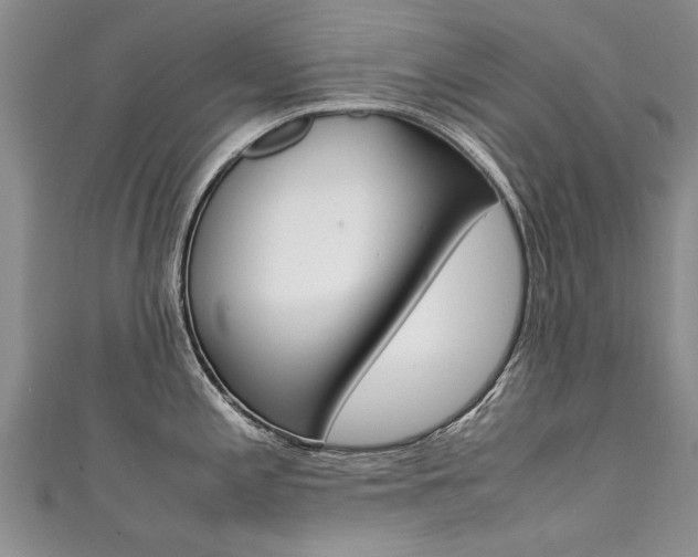 X0000111431197200907131034