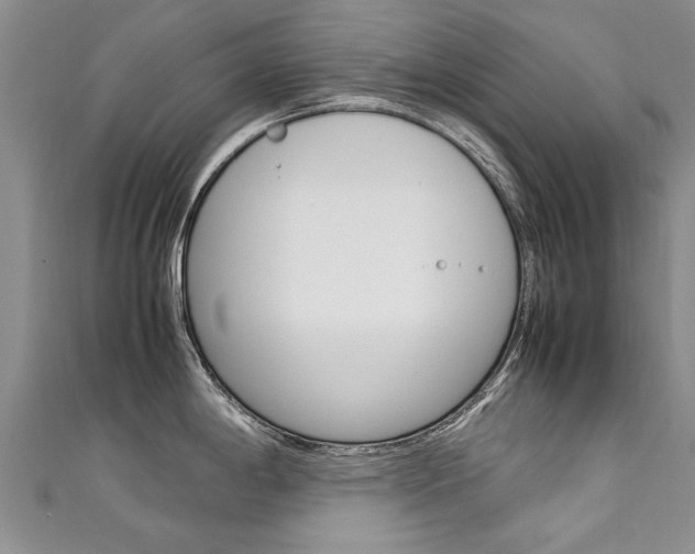 X0000111431198200907131034