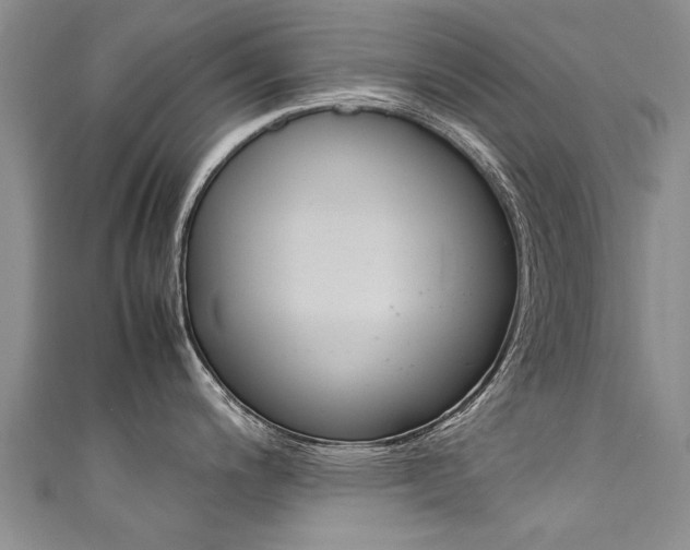 X0000111431200200907131034