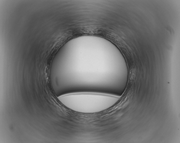 X0000111431202200907131033