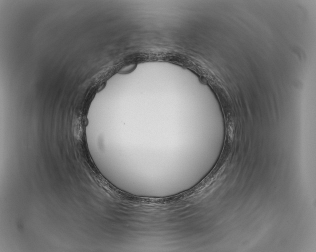X0000111431204200907131033