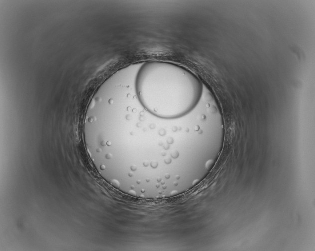 X0000111431205200907131033