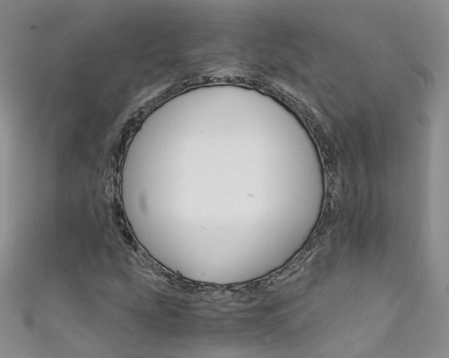 X0000111431207200907131033