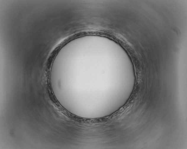 X0000111431208200907131033