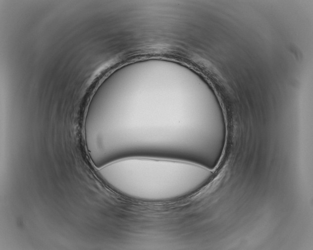 X0000111431210200907131033