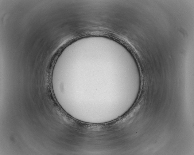 X0000111431211200907131033