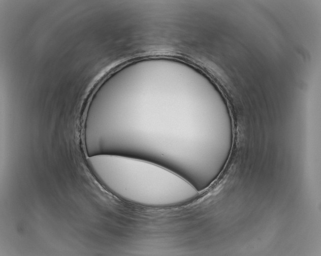 X0000111431212200907131033